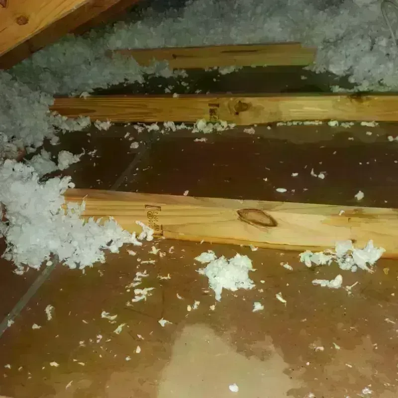 Attic Water Damage in Beaver, UT