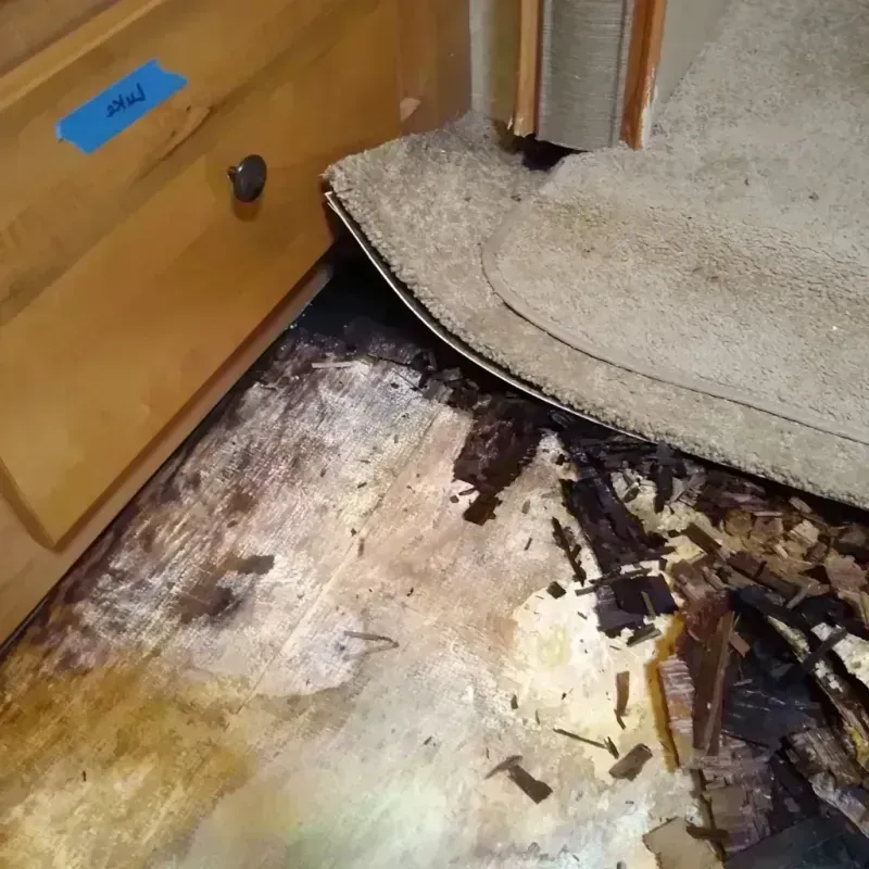 Wood Floor Water Damage in Beaver, UT